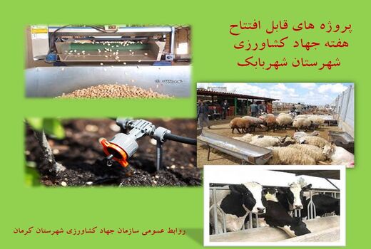 بهره برداری از 13 طرح کشاورزی و دامپروری شهرستان شهربابک در هفته جهاد کشاورزی 