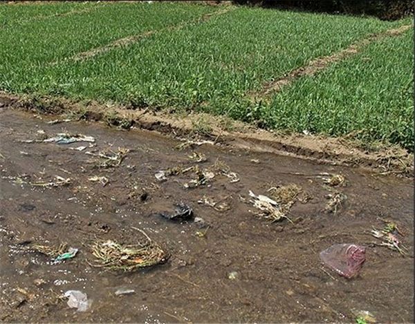 فاضلاب خام برای آبیاری تحویل کشاورز نمی‌شود