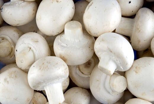 برگزاری دوره آموزشی پرورش قارچ خوراکی در شهرستان چاراویماق