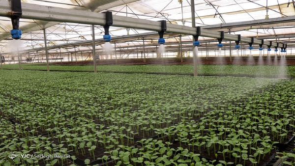 8 هزار هکتار شهرک کشاورزی کشور به سرمایه گذاران واگذار شد