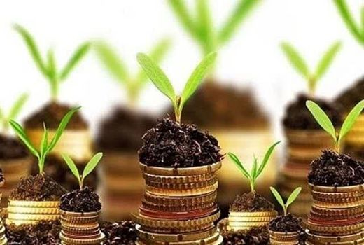 بخشودگی سود و امهال تسهیلات خسارت دیدگان بخش کشاورزی فارس