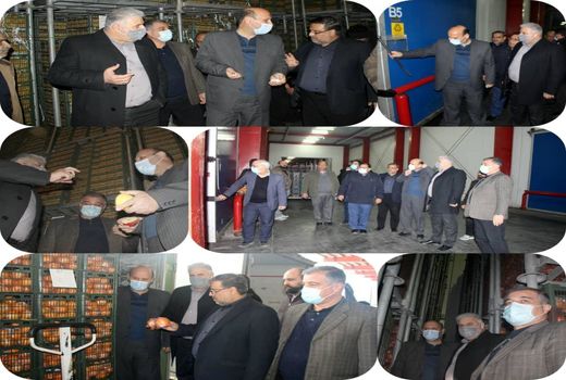 بررسی روند اجرای تنظیم بازار میوه ایام پایانی سال و نوروز 1401 در استان تهران