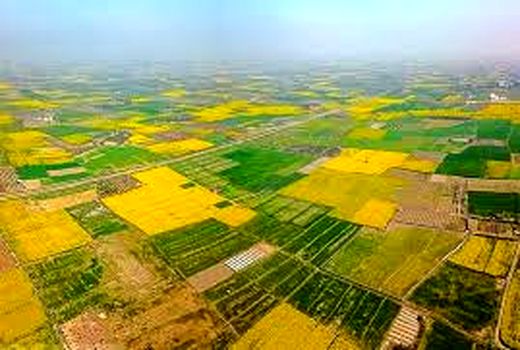 تفسیر 46 پلاک در کمیته تفسیر خوزستان