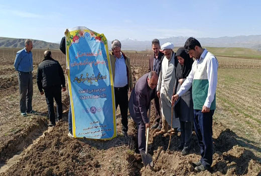 غرس 8888 اصله نهال به نیت امام رضا (ع) در شهرستان اهر