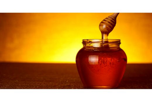 تولید سالانه 14 تن عسل در محمودآباد