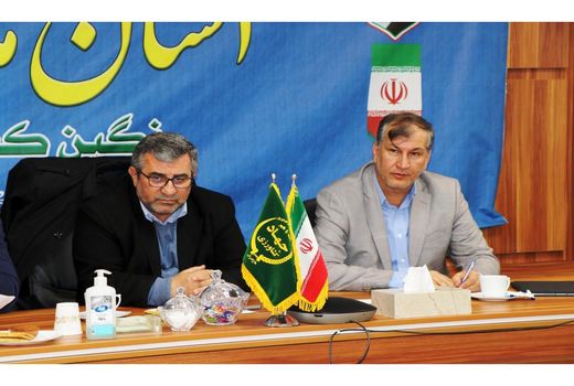 ذخیره 500 هزارتنی مرکبات در مازندران/ مسیر صادرات باید کم هزینه باشد