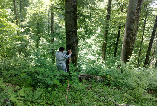 چشم انتظار  گزارش عملکرد پروژه هیرکانی