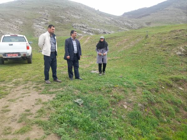 ارزیابی میدانی مبارزه با ملخ در هوراند