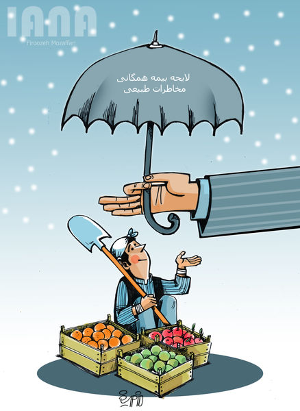 لایحه بیمه همگانی محصولات کشاورزی در برابر بلایای طبیعی