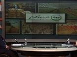 کاهش 3.5 میلیون تنی واردات ذرت با اجرای طرح تامین خوراک دام و دانه‌های روغنی در داخل