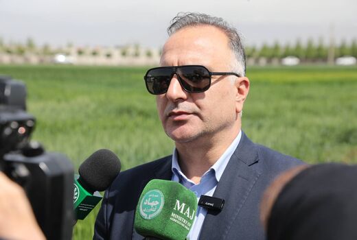 برداشت گندم در ۶ استان آغاز شد/ ۲۰۰ هزار تن تحویل مراکز خرید