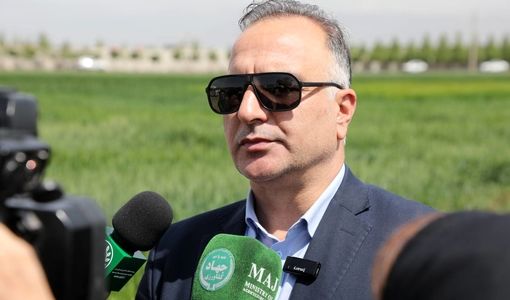 برداشت گندم در ۶ استان آغاز شد/ ۲۰۰ هزار تن تحویل مراکز خرید