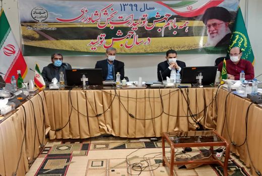 توسعه کمی و کیفی باغات با نهال اصلاح شده