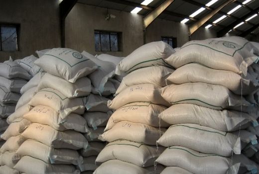 آغاز توزیع بذر گواهی شده گندم در مرودشت