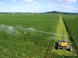 باشگاه کشاورزان نمونه تشکیل می‌شود