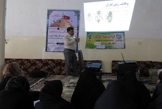 پرورش زنبور عسل موجب اشتغال زنان خانه‌دار شده‌است