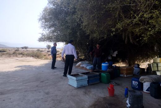 استقرار 450 زنبورستان در خُنج