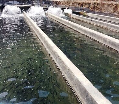 آغاز عملیات اجرایی شهرک شیلاتی شریف‌آباد اردبیل به‌زودی