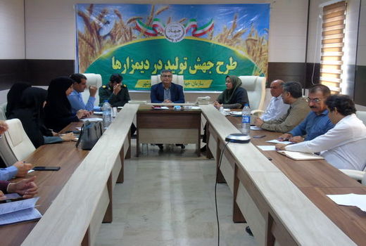 آغاز طرح جهش تولید در دیمزارها استان بوشهر