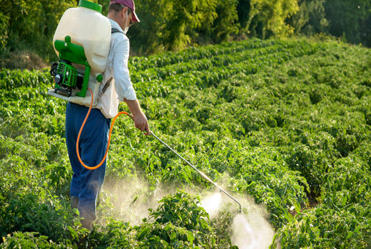 لزوم ایجاد بازار صادرات برای سموم کشاورزی