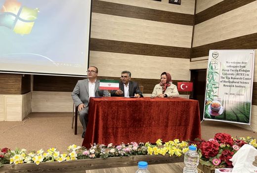 توسعه همکاری و انتقال دانش ایران و ترکیه در حوزه چای