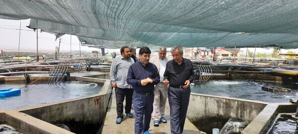 دعوت از سرمایه‌گذاران برای سرمایه‌گذاری در حوزه شیلات جلفا و خداآفرین