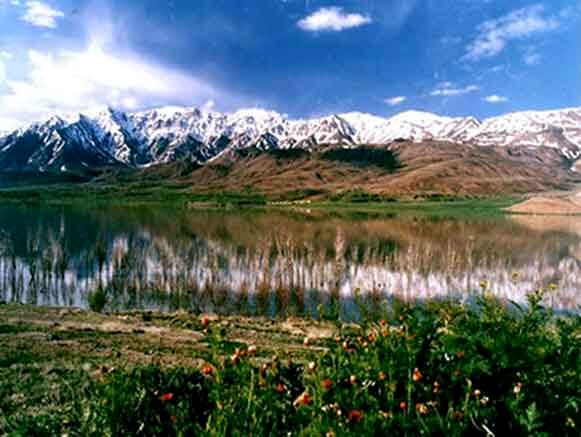 رونق اقتصادی گیاهان دارویی در بام ایران