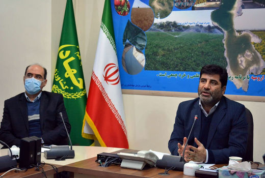 خروج تخم مرغ از مرغداری بدون مجوز بهداشتی حمل ممنوع است