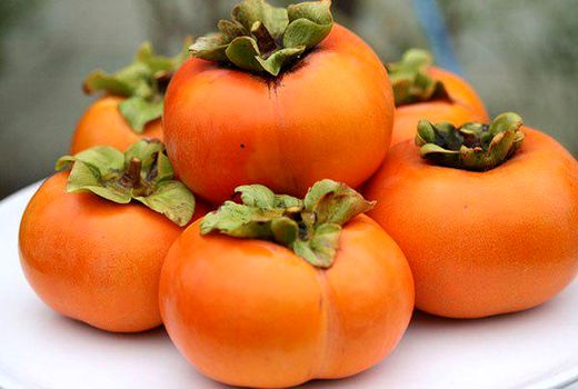 آغاز برداشت خرمالو در استان گیلان
