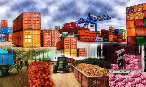 مسیر صادرات ۴۰ محصول کشاورزی باز شد؛ از خشکبار تا برنج و چای