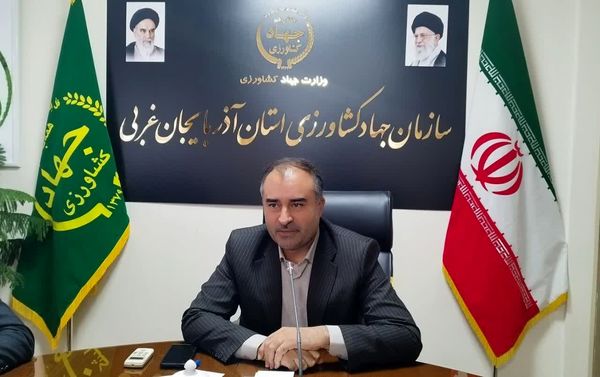 تنظیم بازار سیب صنعتی؛ اولویت اصلی طرح ساماندهی در آذربایجان غربی