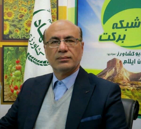 مزارع دیم استان ایلام دچار خشکسالی ۱۰۰ درصدی شدند