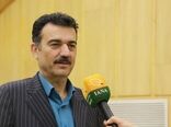 ۱۴ میلیون تن تولید گندم؛ ۶۰ درصد وارد چرخه خرید تضمینی شد
