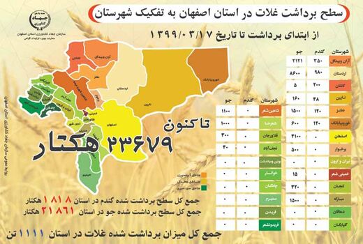 آغاز برداشت گندم و جو در مزارع اصفهان