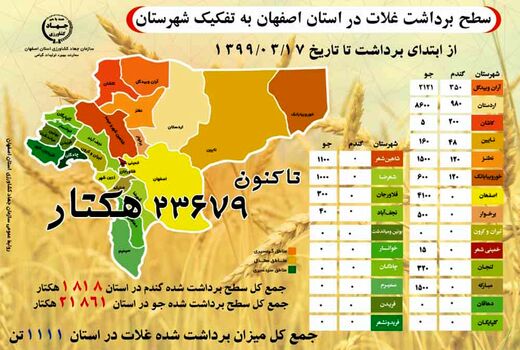 آغاز برداشت گندم و جو در مزارع اصفهان