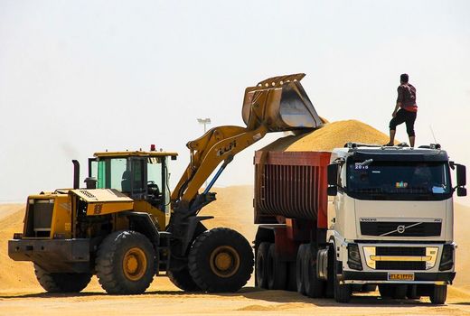 رشد ۱۳ درصدی قیمت خرید تضمینی گندم متناسب نرخ تورم نیست