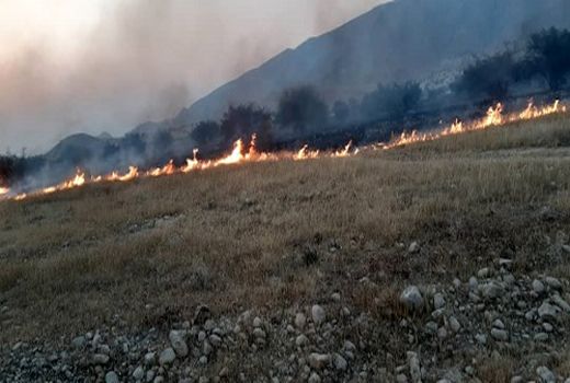 مهار کامل آتش در مراتع آبگرم قیروکارزین