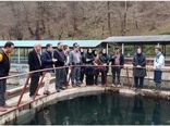 به‌روزرسانی دانش فنی کارشناسان شیلات قزوین با بازدید از مرکز پرورش ماهیان خاویاری رحیم‌آباد