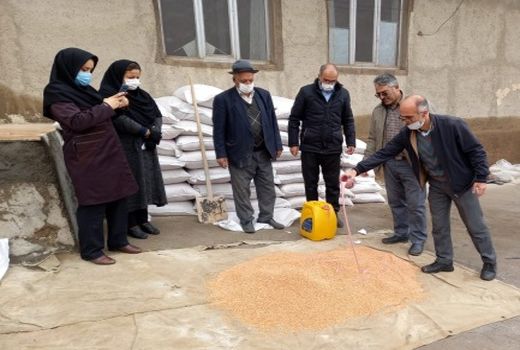 اجرای طرح جهش تولید در بیش از 20هزار هکتار از دیمزارها