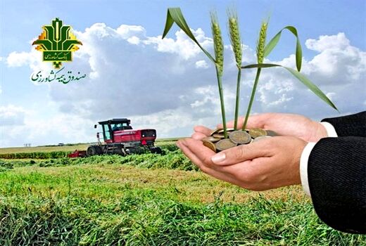 تلاش برای توسعه صندوق بیمه به دست بهره‌برداران