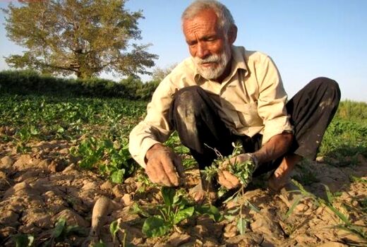 پرداخت تسهیلات به مستمری‌بگیران روستایی و عشایری استان ایلام