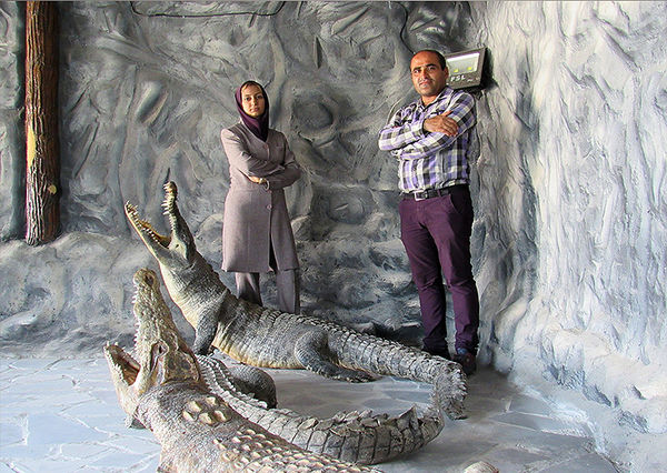 کارآفرینی با کروکودیل برای فرار از زندگی روزمره!