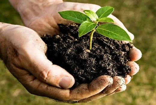 پیچیدگی‌ در ارزش‌گذاری اقتصادی خاک/ اجرای قانون حفاظت خاک وارد فاز مستمر شده است