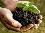 پیچیدگی‌ در ارزش‌گذاری اقتصادی خاک/ اجرای قانون حفاظت خاک وارد فاز مستمر شده است