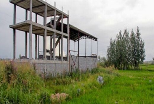 مردم برای مقابله با سوداگران کمک کنند