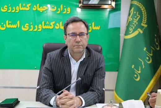 ۳۳ هزار تن سهم لرستان در تولید گوشت کشور 