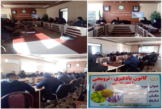 برگزاری دوره مهارتی توسعه استاندارد کشت گیاهان دارویی در جلفا
