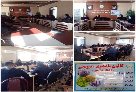 برگزاری دوره مهارتی توسعه استاندارد کشت گیاهان دارویی در جلفا
