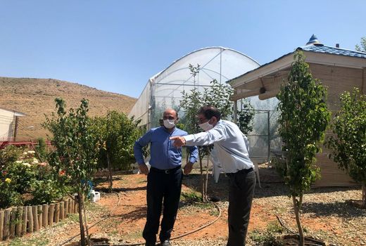 رصد وپایش مجوزهای صادره در حوزه گلخانه در منطقه لواسان بزرگ