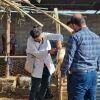 مناطق کم برخوردار اهواز زیر چتر حمایتی دامپزشکی